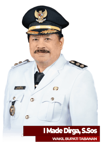 Wakil Bupati